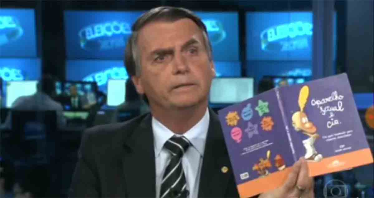 Kit gay nunca existiu e livro que Bolsonaro mostrou é de autora francesa