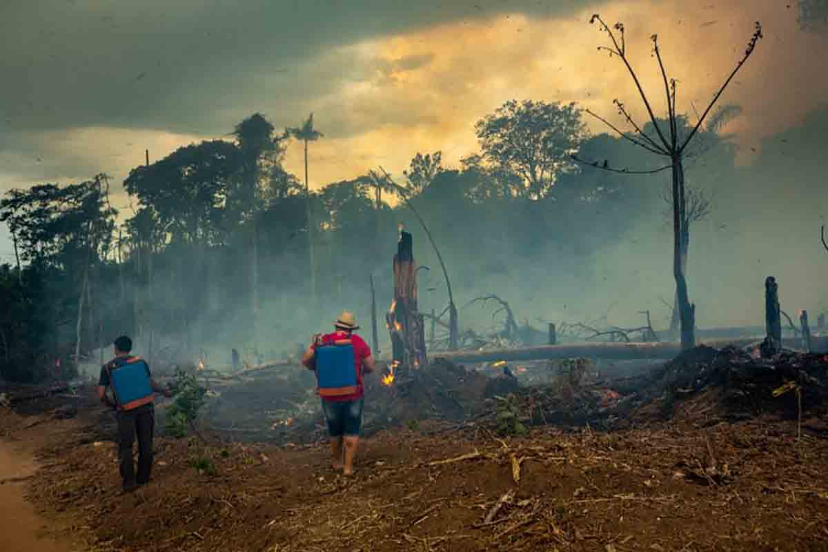 Investigação aponta que fazendeiros organizaram “dia do fogo” para queimar floresta